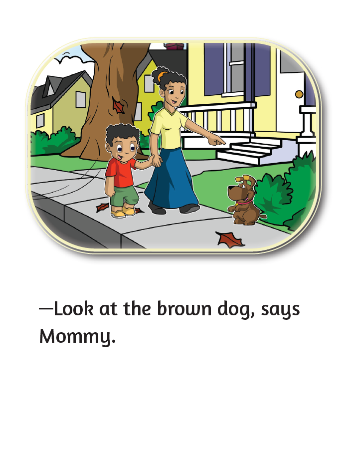 I Like Animals - Little Reader