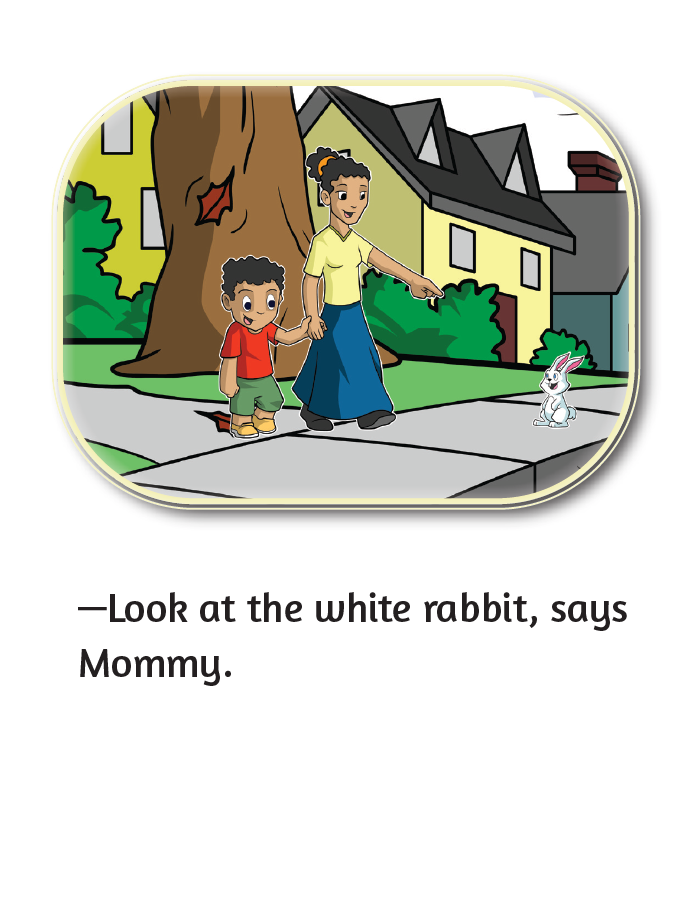 I Like Animals - Little Reader