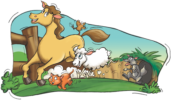 AIM Kit Portal - La poule Maboule (1 year)