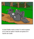 Le loup Foufou a mal - Reader