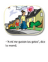 Me gustan los animales - Little Reader