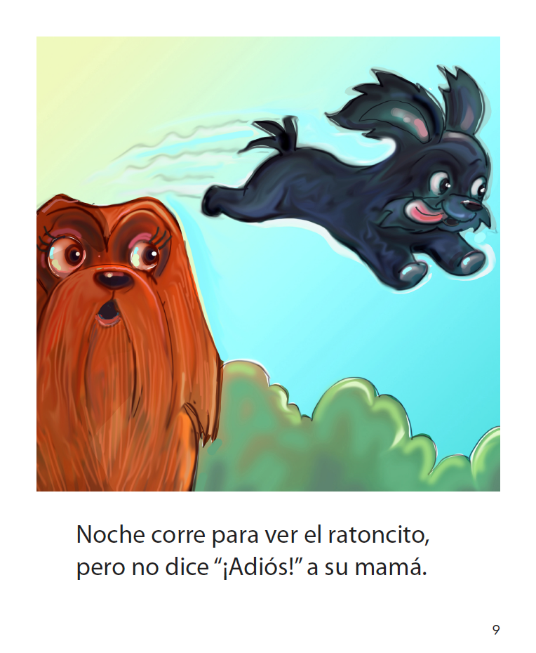 Noche el perro - Reader