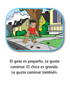Pequeño y Grande - Little Reader