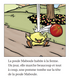 La poule Maboule et le gros bruit - Reader