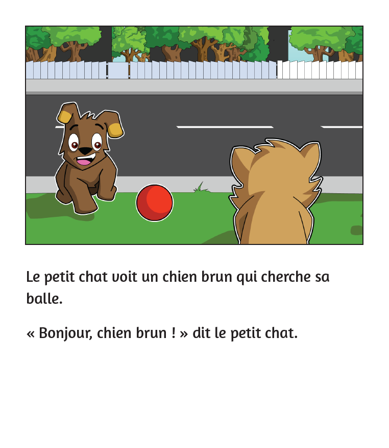 Le petit chat cherche son nom - Reader