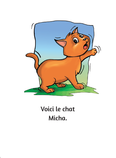 Les animaux - Little Reader / Les animaux - petit livret