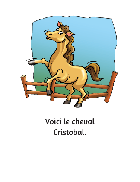 Les animaux - Little Reader / Les animaux - petit livret