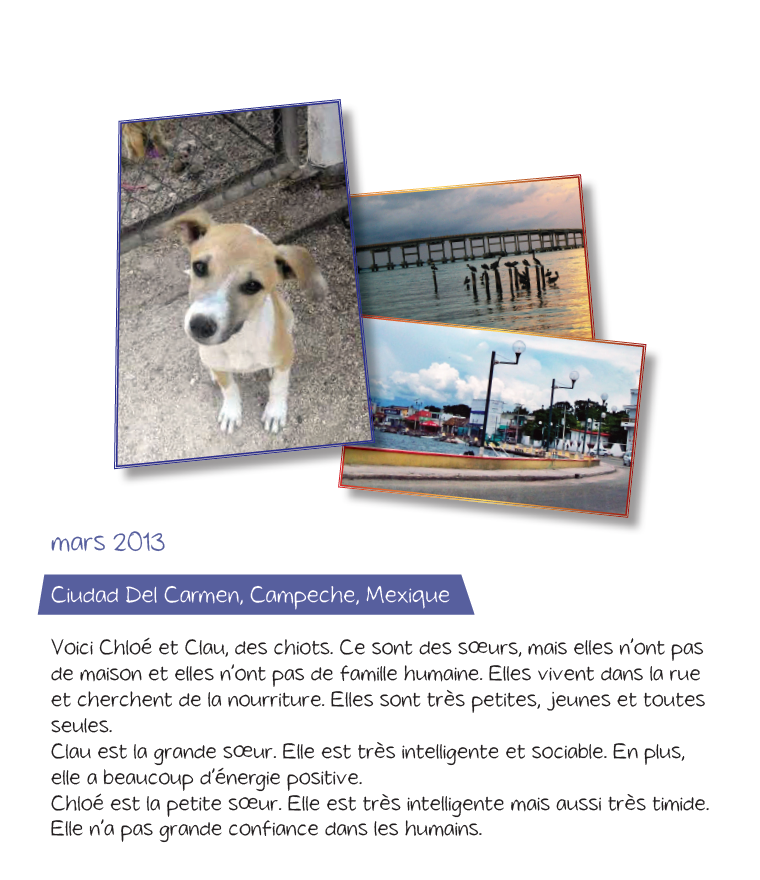 Les Aventures de Chloe - Reader