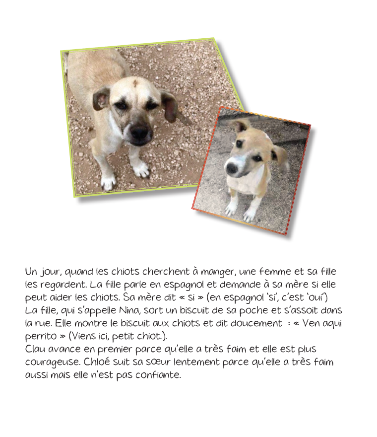 Les Aventures de Chloe - Reader