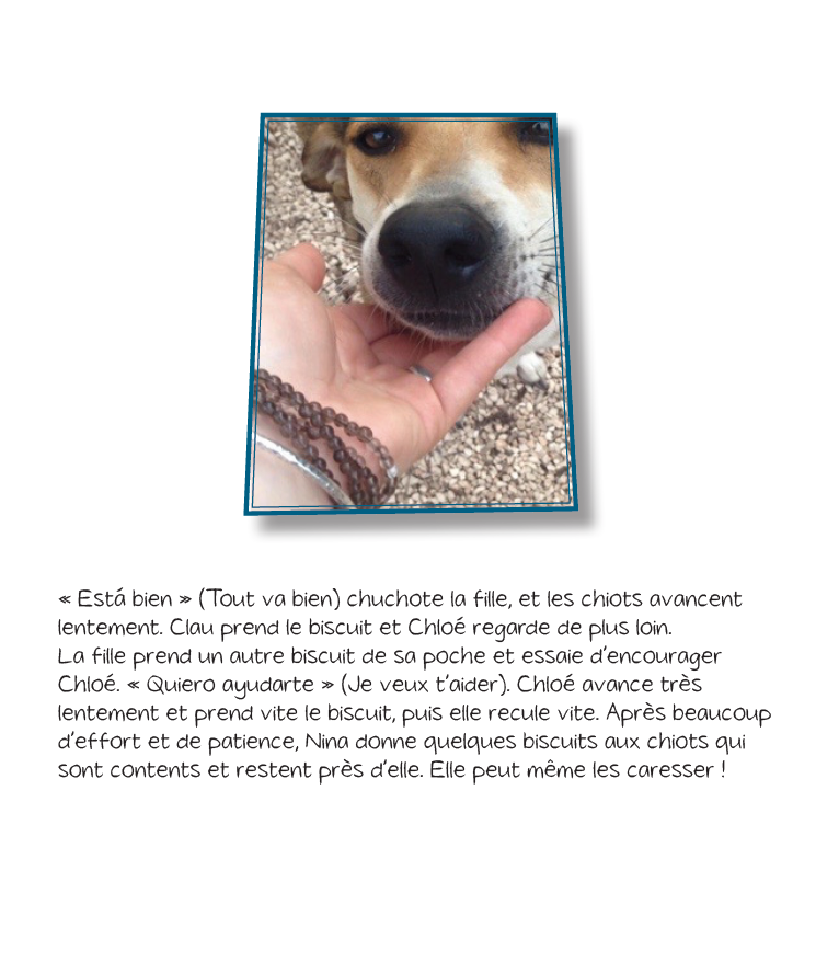 Les Aventures de Chloe - Reader
