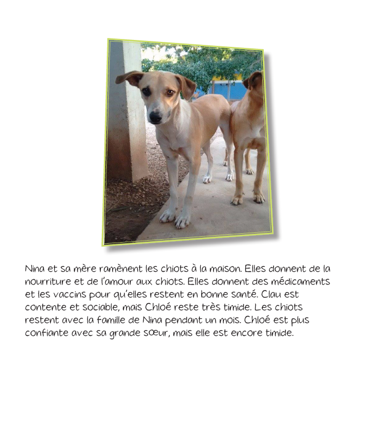 Les Aventures de Chloe - Reader