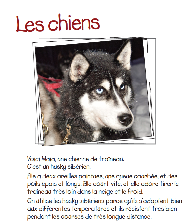 Les chiens de traîneau - Reader