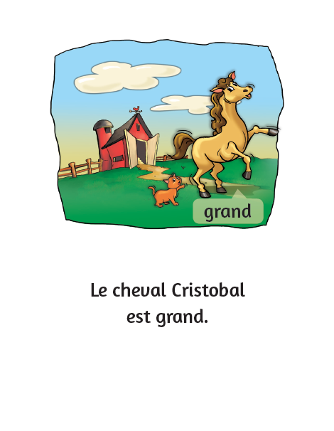 Les contraires - Little Reader