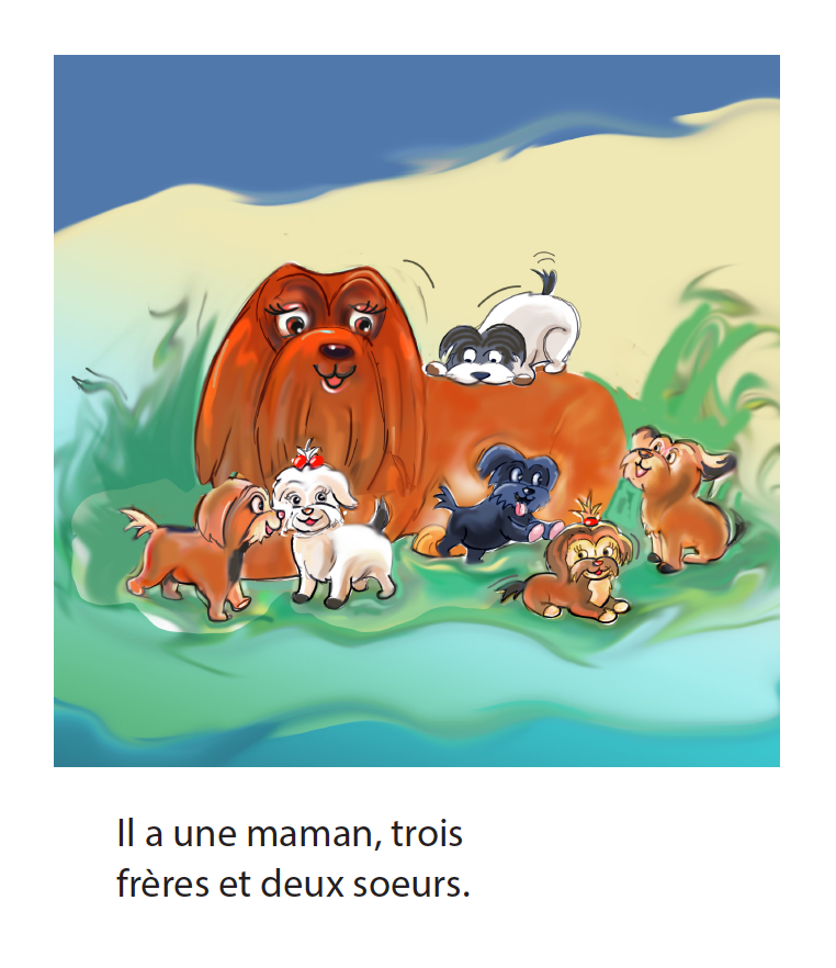 Minuit le chien - Reader