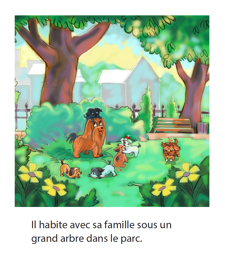 Minuit le chien - Reader