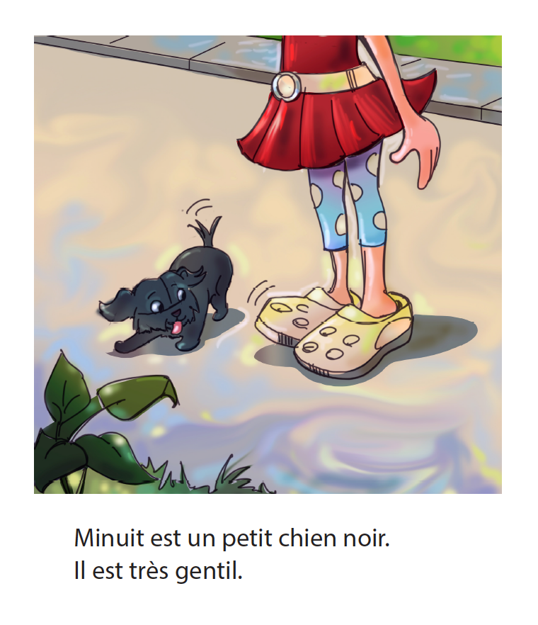 Minuit va à l'école - Reader