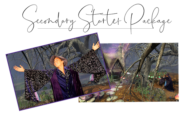 Junior High/Secondary Spanish - Starter Package