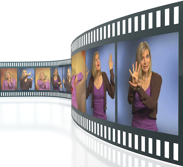 Online Gesture Database (1 year Subscription)