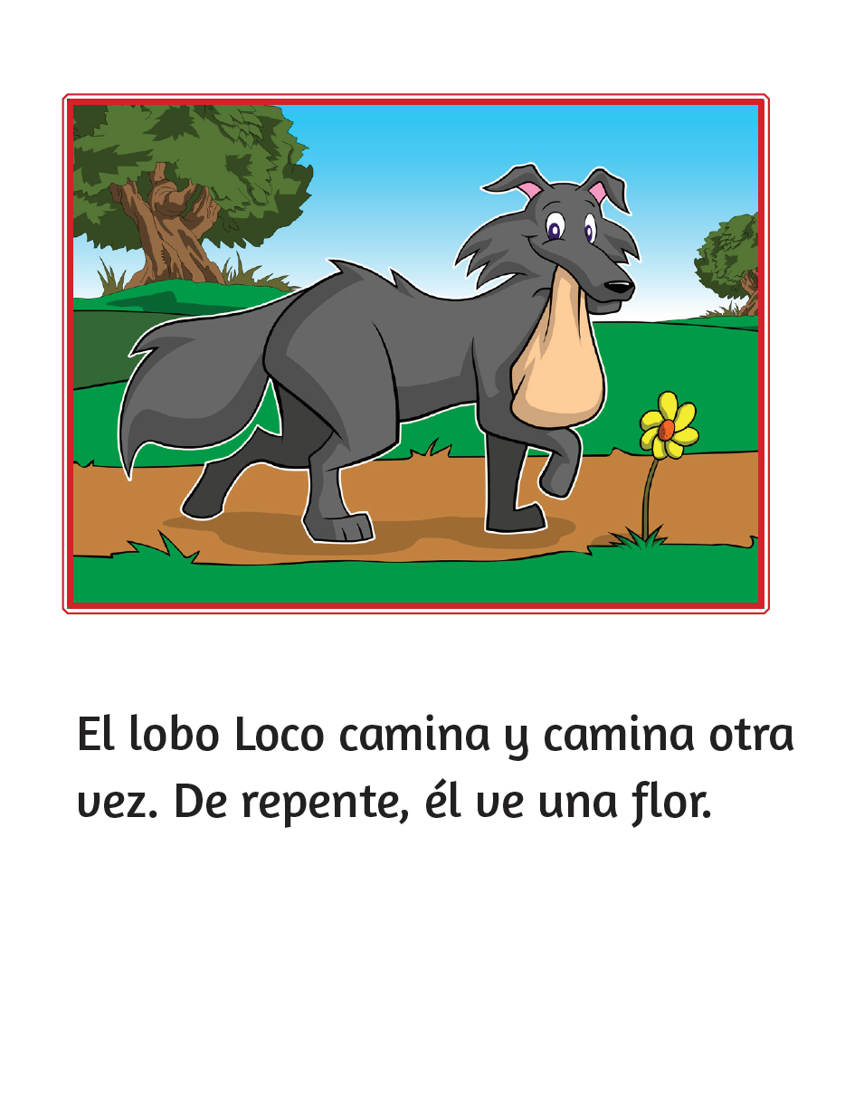 El lobo Loco camina - Little Reader (minimum of 6)