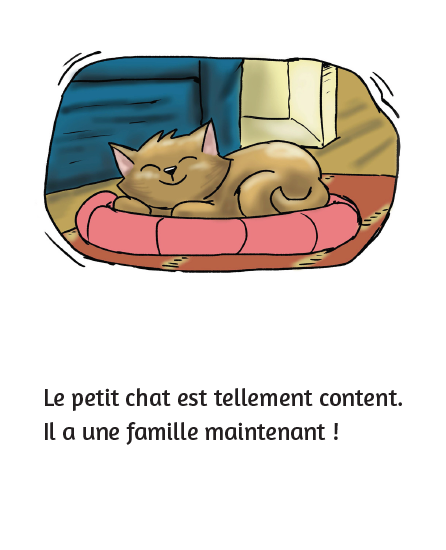 Le petit chat cherche le garçon - Little Reader (minimum of 6)