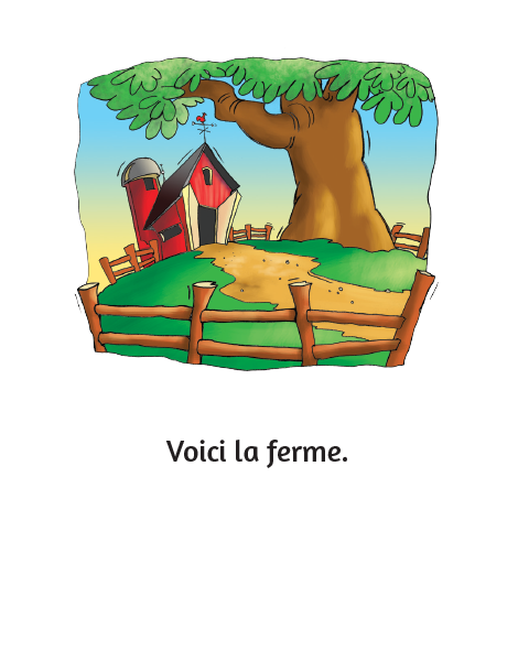 Les animaux - Little Reader (minimum of 6) / Les animaux - petit livret (minimum de 6)